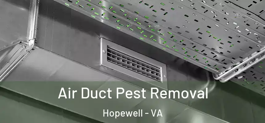 Air Duct Pest Removal Hopewell - VA