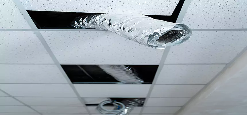 Our Air Duct Pet Hair Removal Services in Hopewell, VA