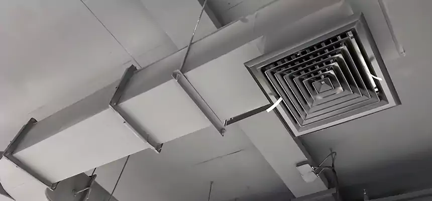 Restorative Allergy Relief Vent Cleaning – Coil, Blower & Housing Detail in Hopewell