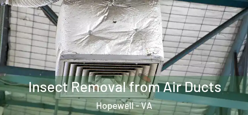 Insect Removal from Air Ducts Hopewell - VA