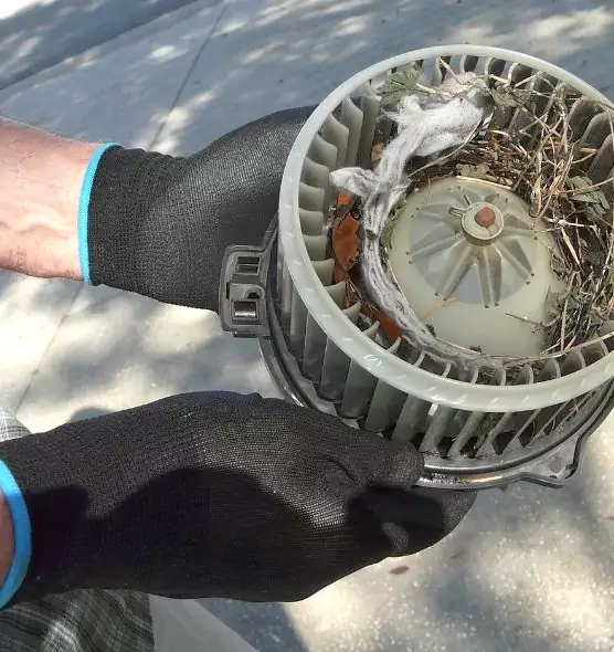 About Air Duct Mice Removal in Hopewell, VA