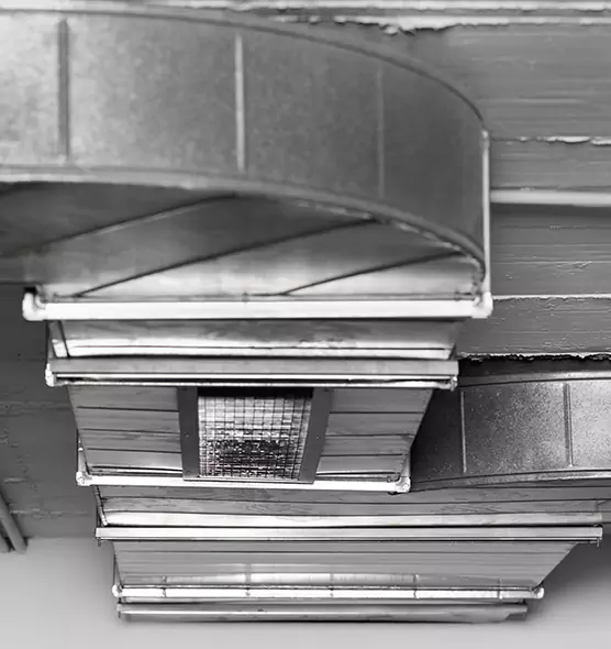 Professional Air Duct Pest Removal in Hopewell, VA