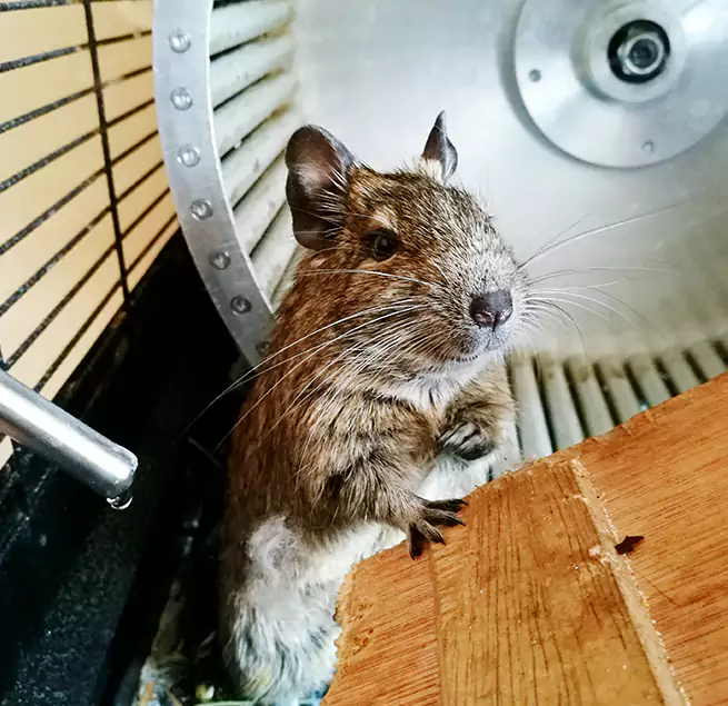 Why Homeowners & Businesses Trust Us Hopewell, VA